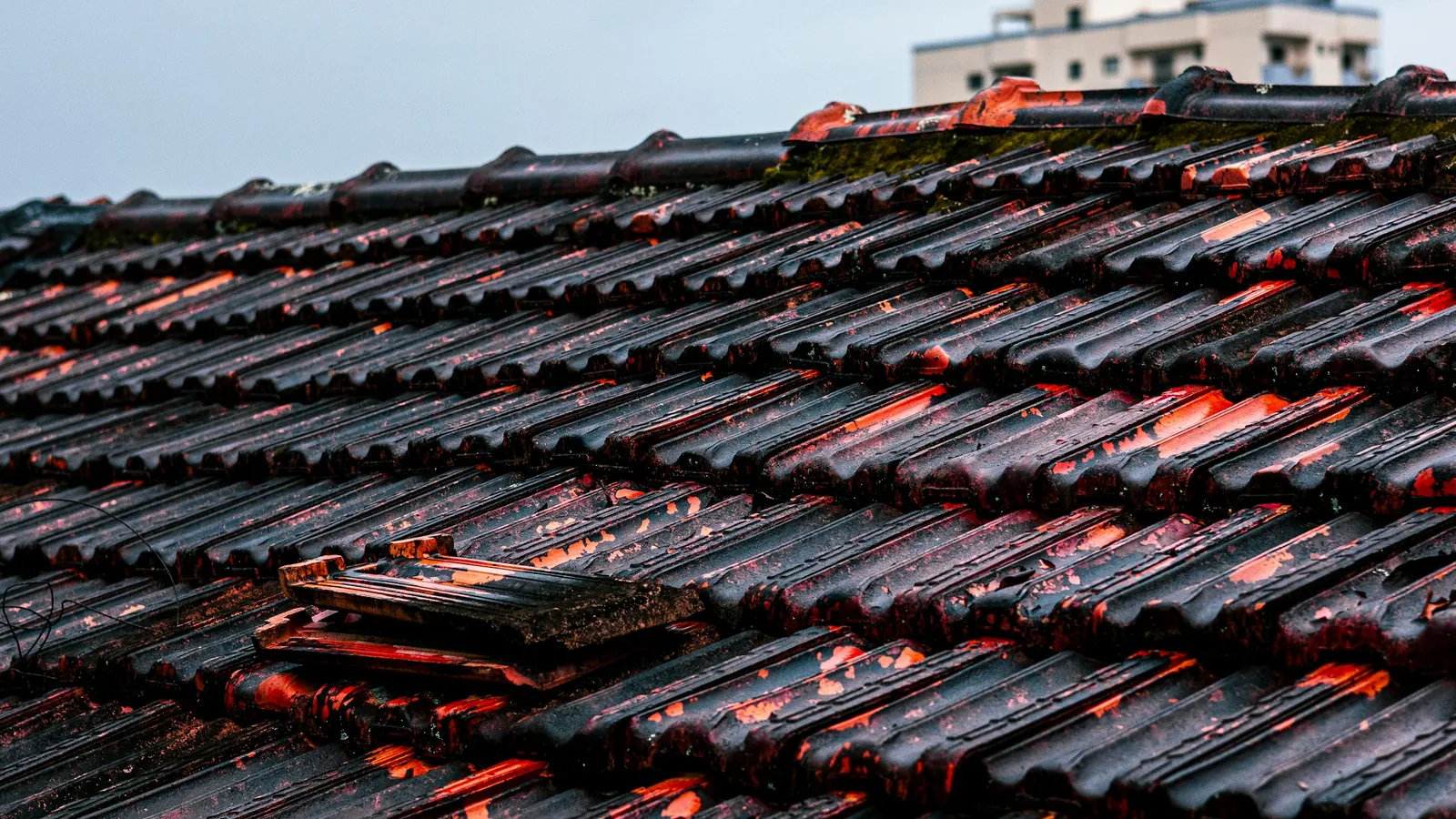 Roof Repair & Inspections